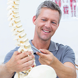Smiling chiropractor with model of spine.